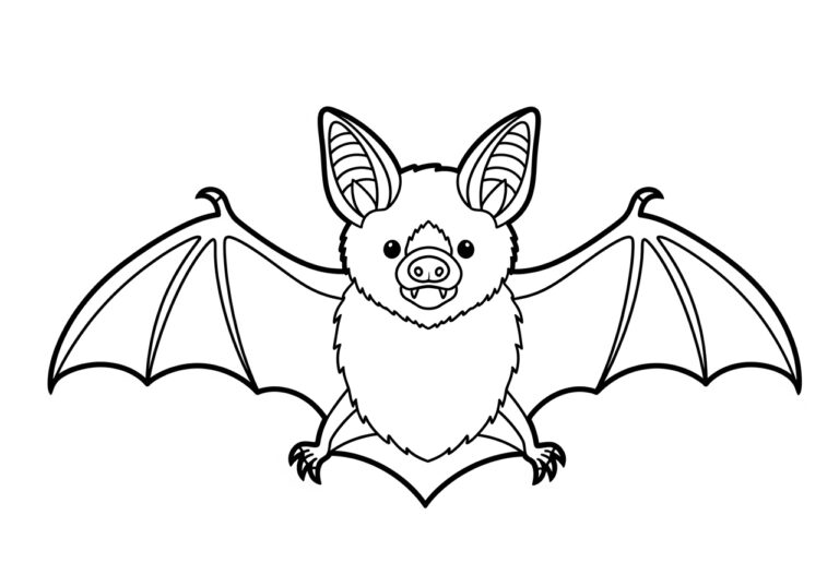 Mexican Free-Tailed Bat Coloring Page