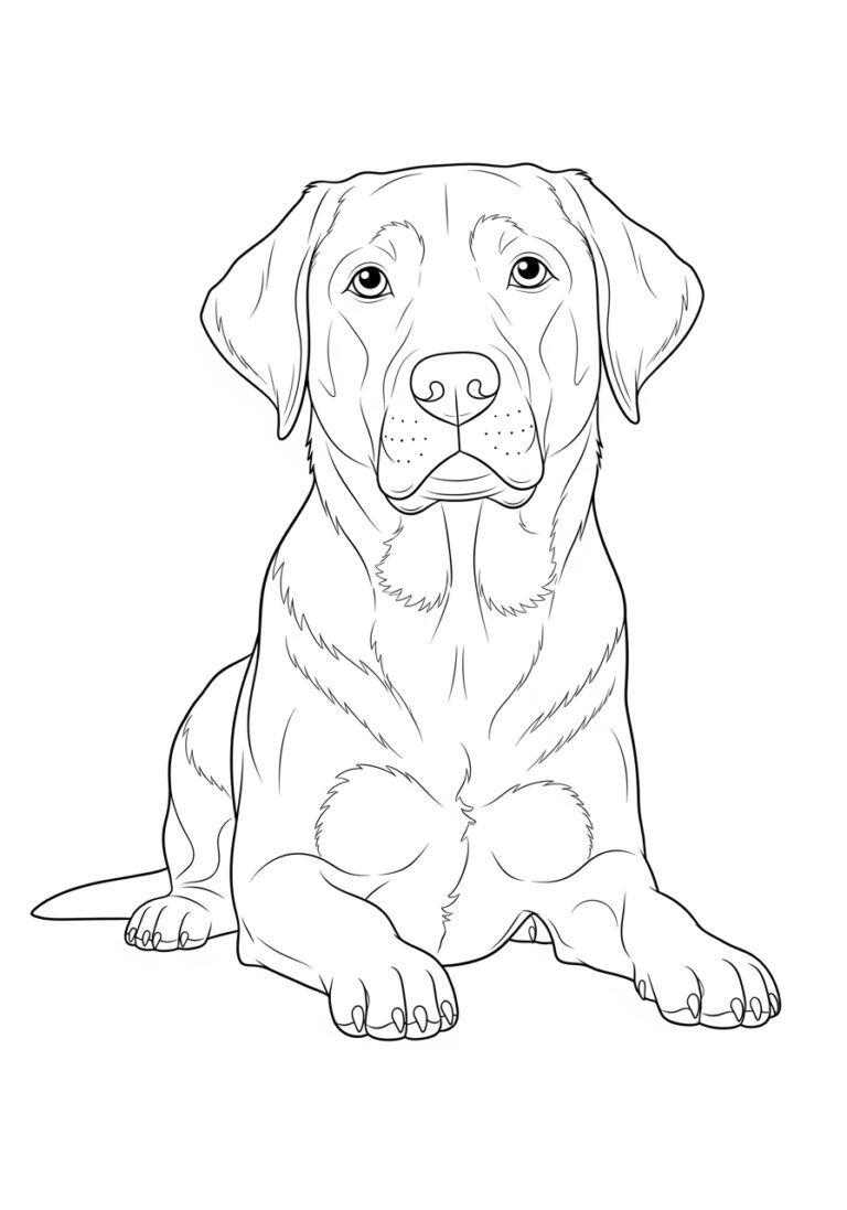 Labrador Dog Coloring Page to Print Out and Color