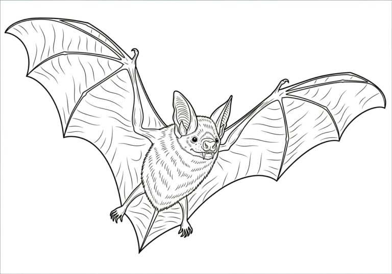 Realistic Vampire Bat Coloring Page